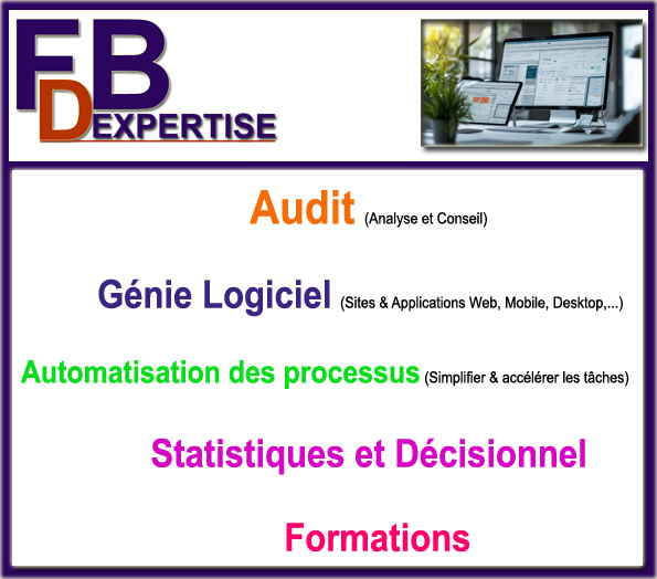 Logo FB DUAL EXPERTISE - Solutions informatiques pour PME